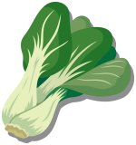 画像1: 定期購入品02 (1)