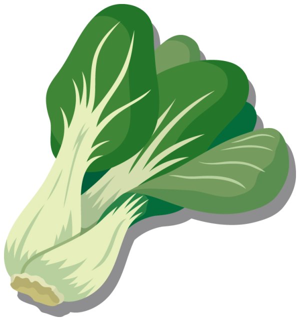 画像1: 定期購入品02