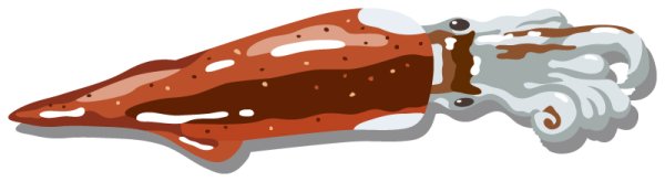 画像1: 英語版　GTIN