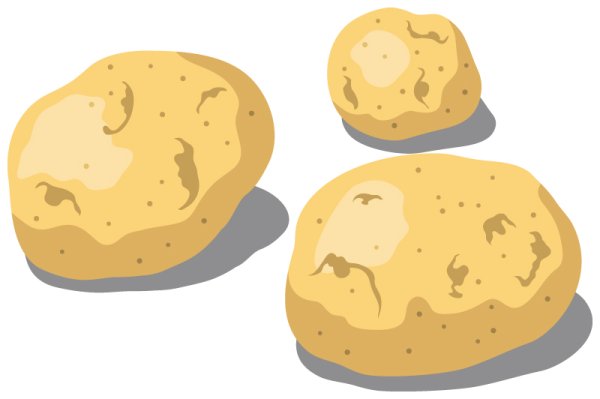 画像1: 定期購入品06