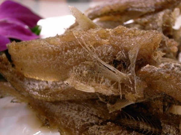 画像13: 肉スペシャル