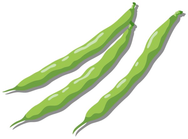 画像2: 定期購入品02