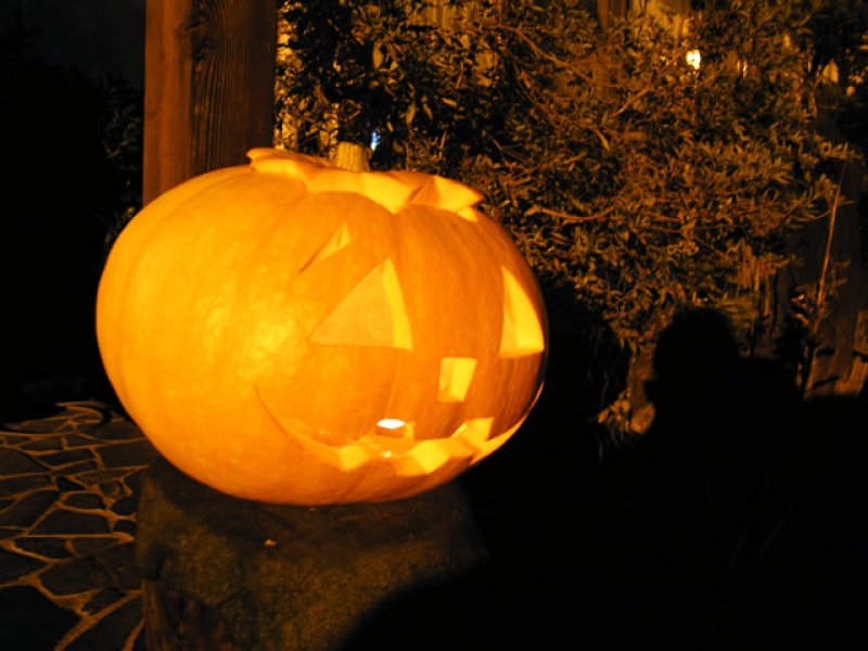 画像1: ハロウィンライト2 (1)
