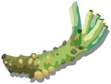 画像1: 定期購入品05 (1)