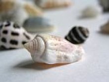 他の写真3: Cafe Chair