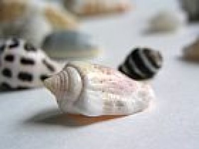 画像3: 準備中です