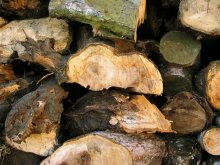 他の写真2: タイル４４