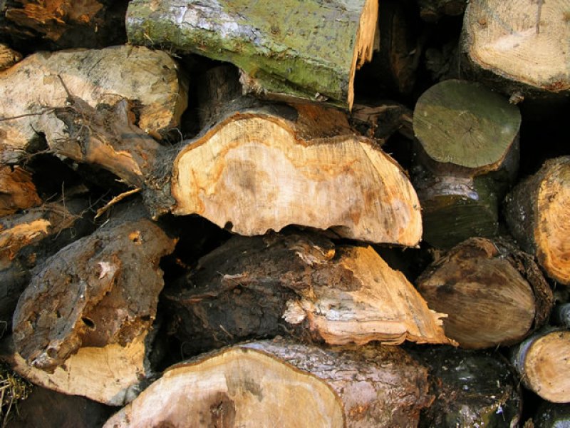 画像2: タイル４４