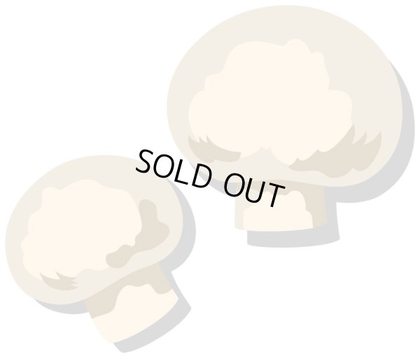 画像2: テント　バリエーション