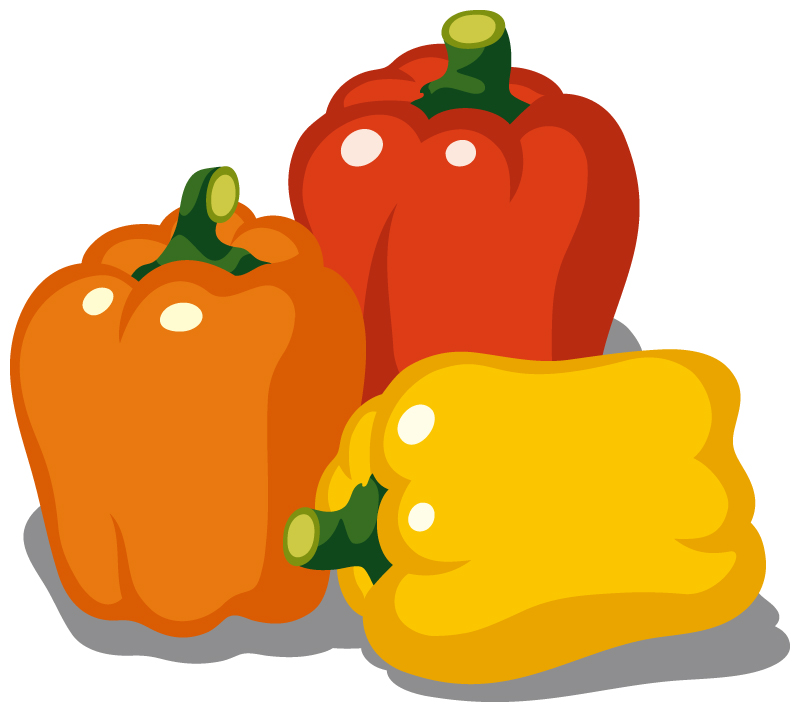 画像: セミナーに参加してきました