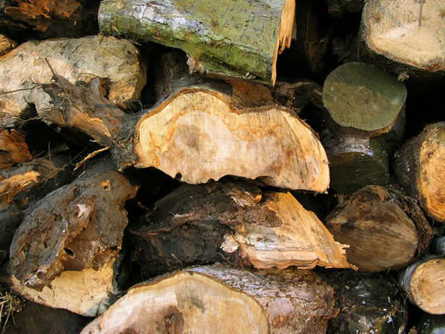 画像: タイル４４